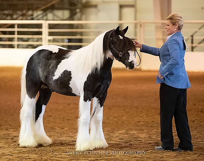 Blue Star by Jimmy McCann