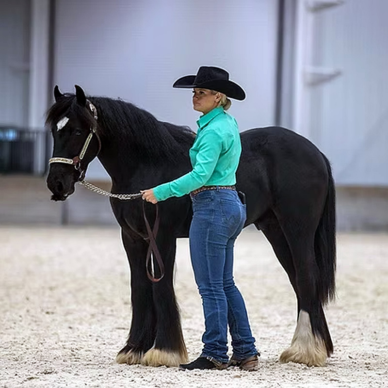 RNG Kate's Comanche Moon