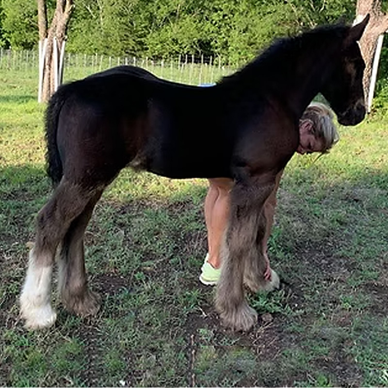 RNG Kate's George Strait