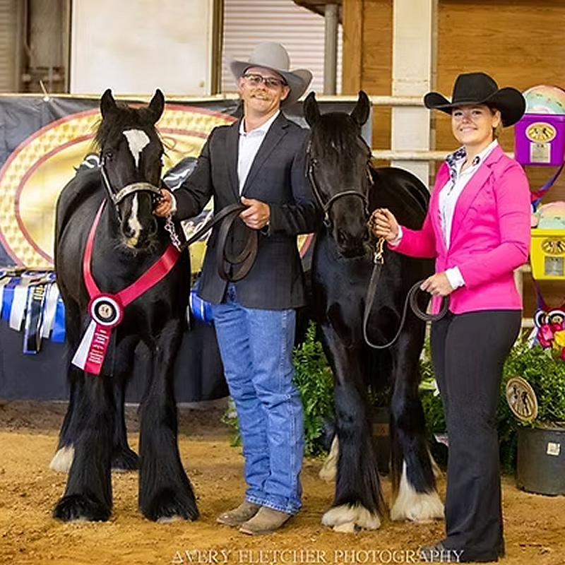 RNG Kate's Radar Love